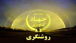 تولید برنج افزایشی است